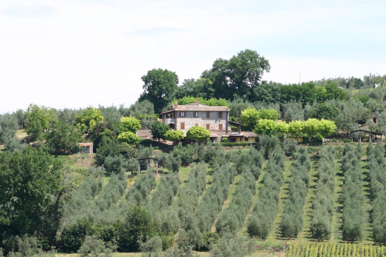Agriturismo Oliveto Di Geltrude Contessa Amelia Exterior photo